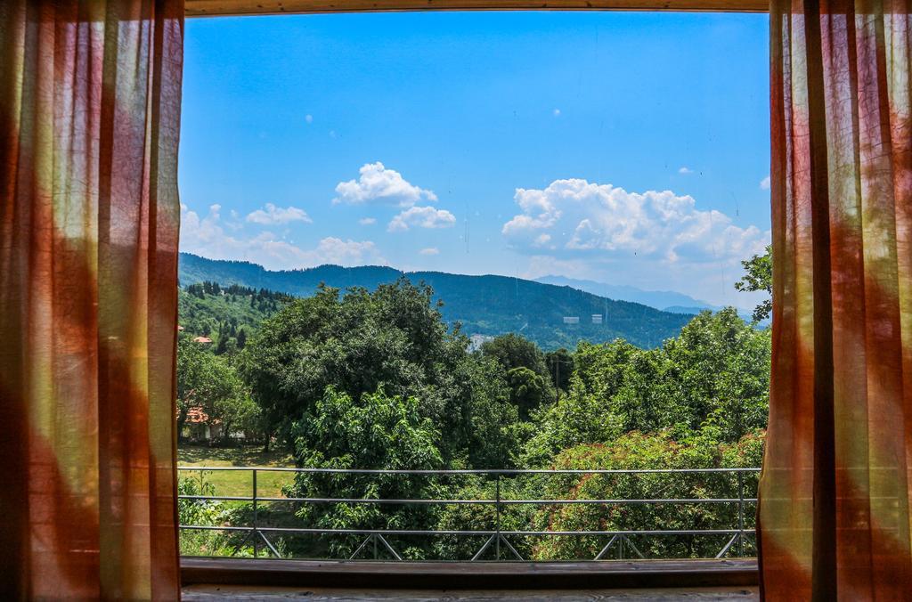 Hotel Elatofilito Athamanio Buitenkant foto