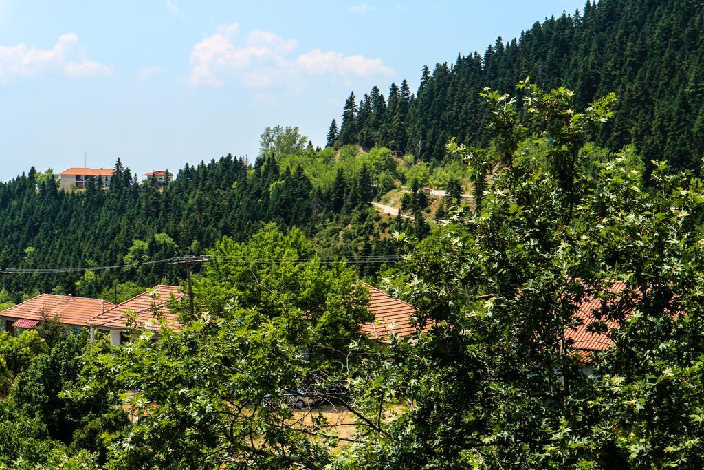 Hotel Elatofilito Athamanio Buitenkant foto